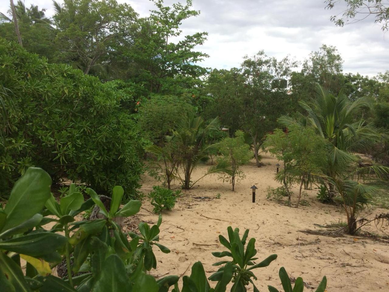 Aloha Beach Resort Tangalle Zewnętrze zdjęcie